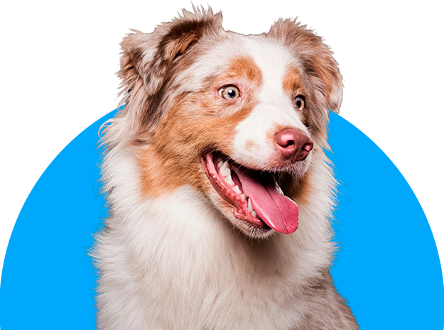 Hospital Veterinario Costa del Sol