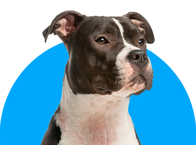 Hospital Veterinario Costa del Sol
