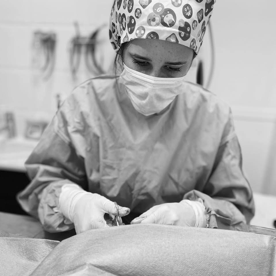 cirugía veterinaria