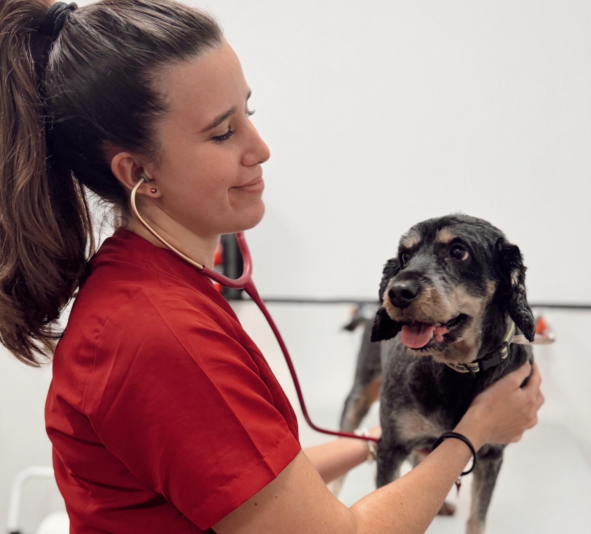 Cuidados Veterinarios Costa del Sol |Málaga