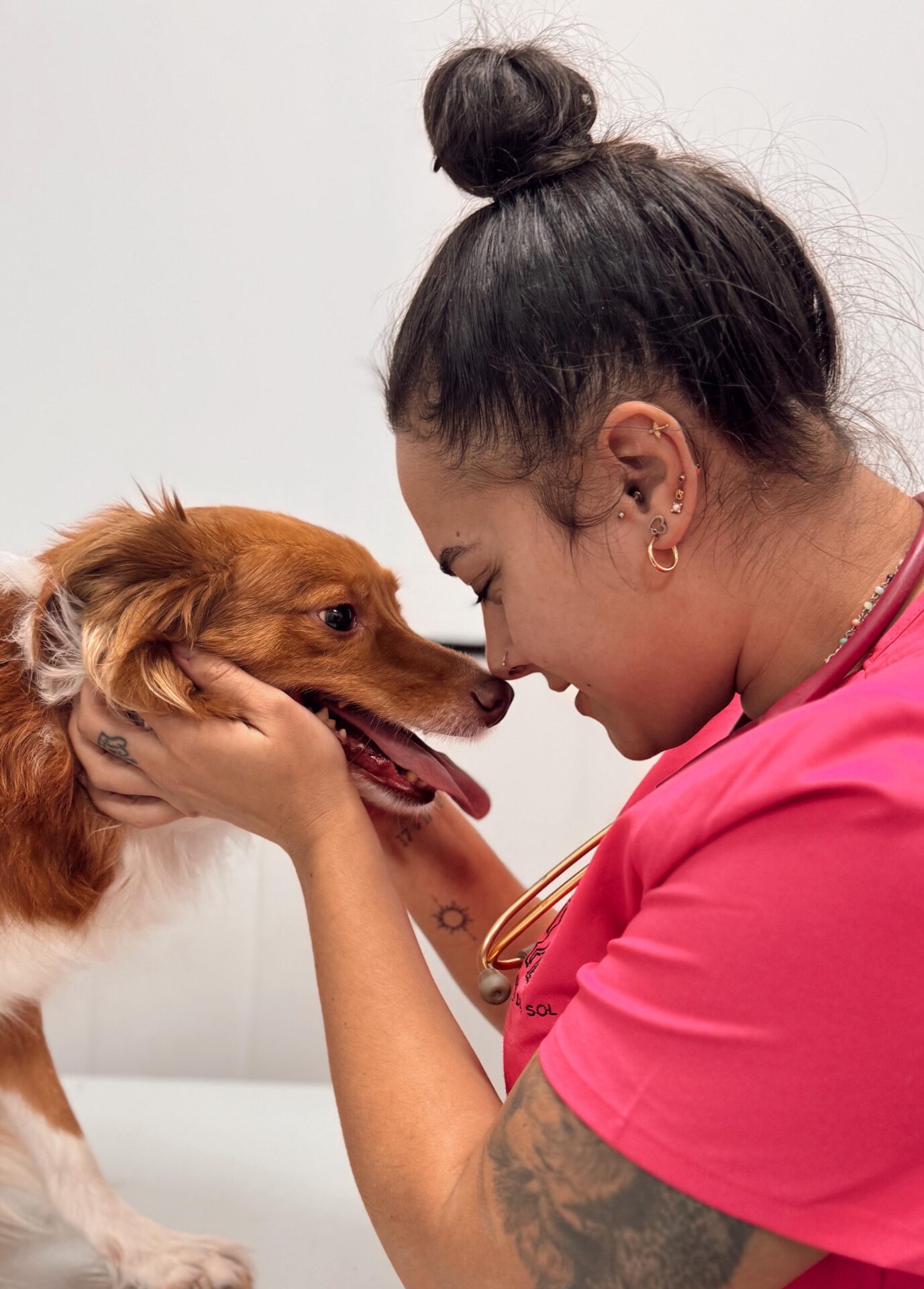medicina preventiva veterinaria