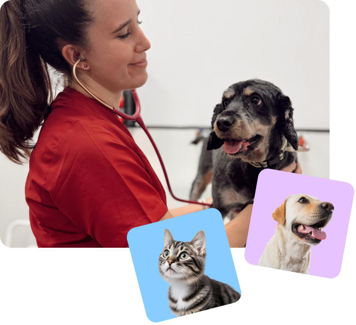 Hospital Veterinario Costa del Sol