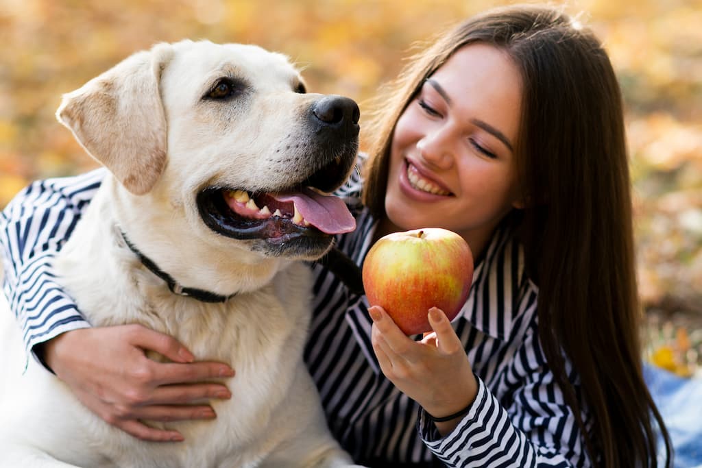 frutas aptas para perros